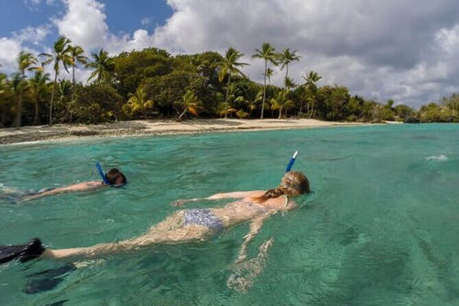 Admission Ticket to Coral World & Coki Point Beach with Snorkeling - What You’re Really Buying for $40 in Cruz Bay