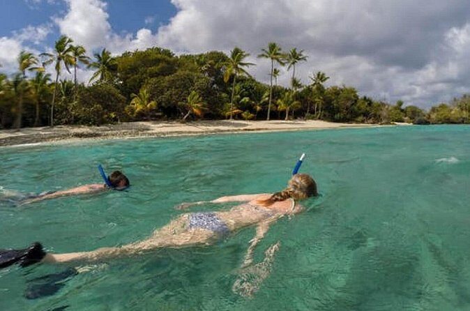 Admission Ticket to Coral World & Coki Point Beach with Snorkeling - Coral World Ocean Park: marine life, trails, and the Underwater Observatory Tower