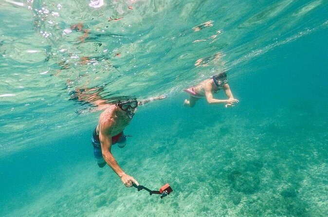 Admission Ticket to Coral World & Coki Point Beach with Snorkeling - Timing: how a 2 to 8 hour day usually plays out