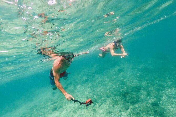 Admission Ticket to Coral World & Coki Point Beach with Snorkeling - Coki Point Beach snorkeling: calm water, clear views, and what to plan