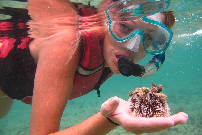 Best of Mangrove Lagoon Kayak, Hike and Snorkel Adventure with Picnic Lunch - Difficulty Level, What to Wear, and Who Should Pass