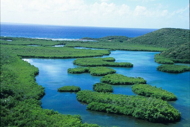 Best of Mangrove Lagoon Kayak, Hike and Snorkel Adventure with Picnic Lunch - Price and Value: Is $159 Worth It?