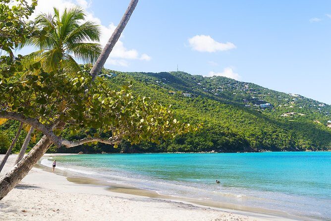 Budget Magens Bay Beach - Key takeaways before you go
