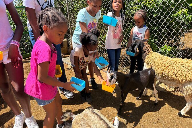 Connors Farms Petting Zoo - Weather, Mobile Tickets, and the Stuff That Keeps the Day Smooth
