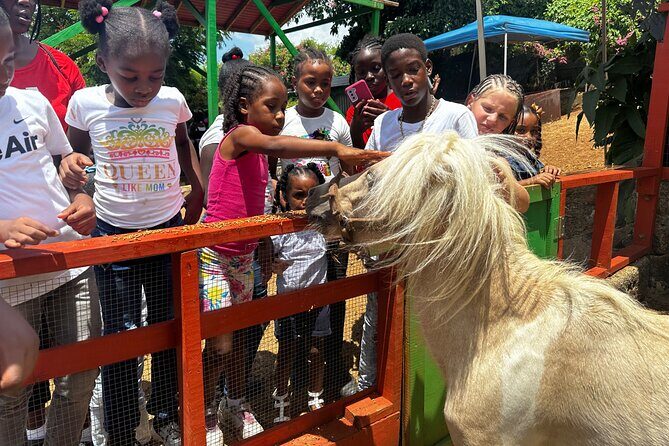 Connors Farms Petting Zoo - The Black Point Hill Ride and the Stumpy Bay View That Makes Time Fly