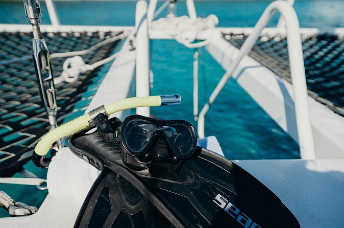 Discover the Best of St. John - Snorkel, Beach & Shopping! - Boat Day Essentials: What to Pack and What to Leave