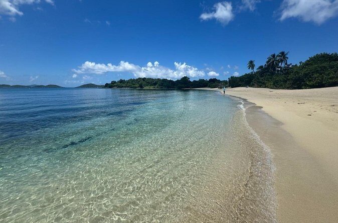 Explore St. John, Beaches and National Park Private Tour - Who Should Book This Tour (and Who Might Skip It)