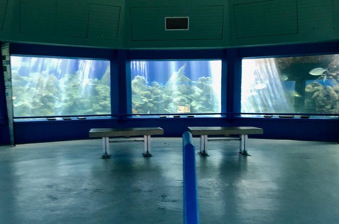 Guided Tour of Coral World Ocean Park & Happy Hour - Using Your Free Time After the Tour (Without Missing the Best Bits)