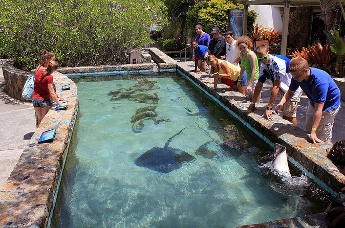 Guided Tour of Coral World Ocean Park & Happy Hour - Price and Value: What $60 Buys You (and When It’s a Win)