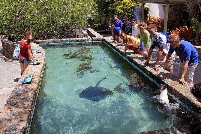 Guided Tour of Coral World Ocean Park & Happy Hour - The Guided Tour: What You’ll Actually Focus On Inside the Park