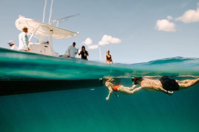 Half Day Boat Charter around the Islands of St Thomas and St John - Snorkeling goals: turtles, rays, reefs, and calmer spots