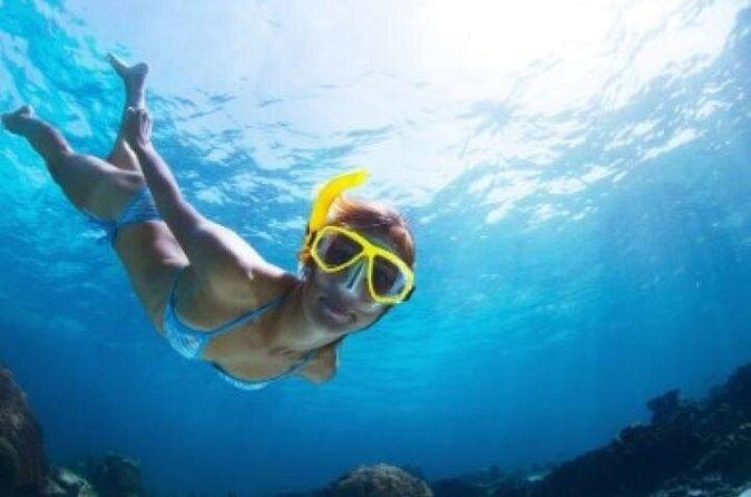 Half Day Snorkeling Tour from Margaritaville - Reef snorkeling off St. Thomas: how spot selection improves your odds
