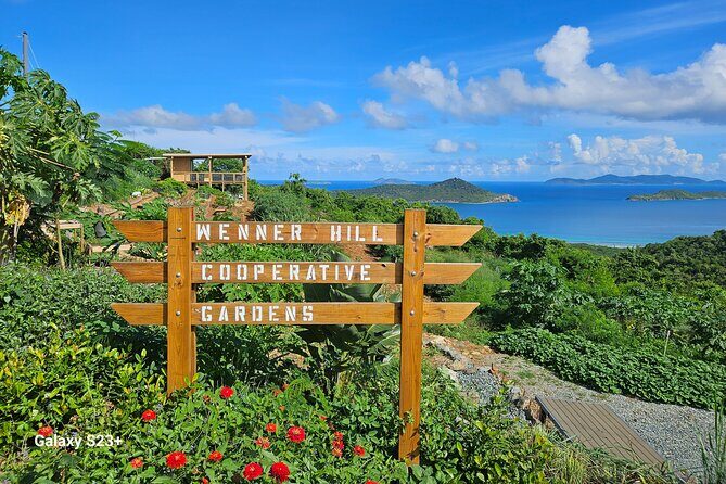 Island Eco Farm Tour with Local Treats and Sapphire Beach Time - A Farm-and-Beach Morning That Actually Has a Point