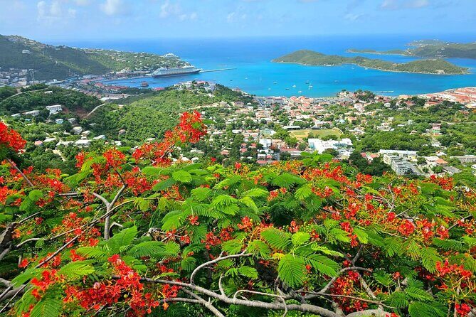 Island Life Jeep Tours - Your Day Your Way Private Excursion! - Pickup and meeting point: where the day starts