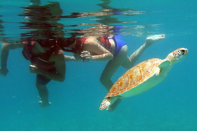Kayak and Sea Turtle Snorkel with Beach Break - Entering the water: the 4-hour flow you’ll actually feel
