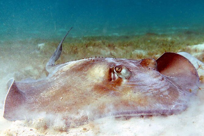 Kayak and Sea Turtle Snorkel with Beach Break - Logistics that can trip you up (and how to avoid it)