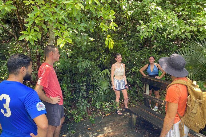 Magens Bay Trail Hiking Tour - Why This Magens Bay Hike Works as a Short, Guided St Thomas Activity