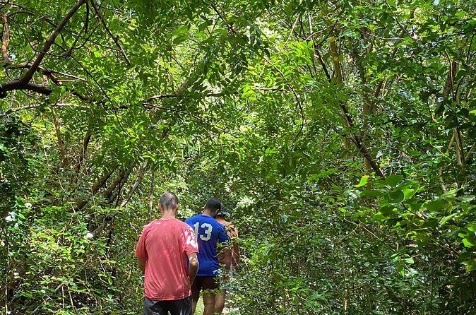 Magens Bay Trail Hiking Tour - Small-Group Pace and Private-Time Feel With Island Trail Adventures