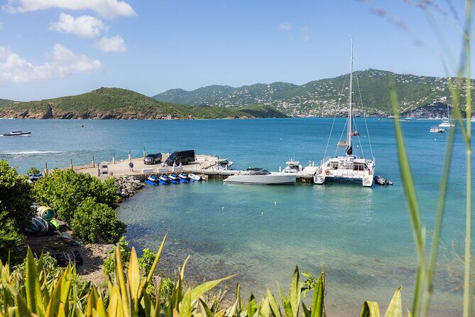 Maho Bay Turtle Snorkel with Lunch and Bar at Frenchman's Reef - Maho Bay Sea Turtle Snorkel: What Makes It Special