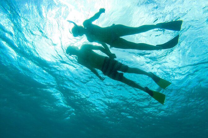Maho Bay Turtle Snorkel with Lunch and Bar at Frenchman's Reef - Practical Tips That Matter on This Kind of Snorkel Day