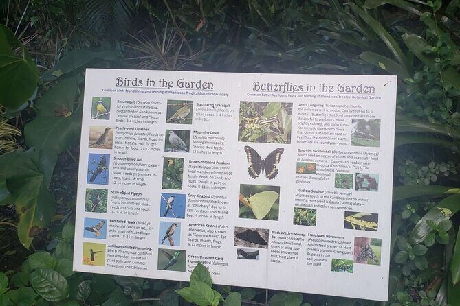 Nature and Sightseeing at Phantasea Tropical Botanical Garden - Phantasea Tropical Botanical Garden in St. Thomas: what you’re really booking