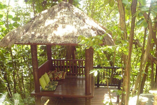 Nature and Sightseeing at Phantasea Tropical Botanical Garden - Pickup, small groups, and mobile tickets: the logistics that affect your day