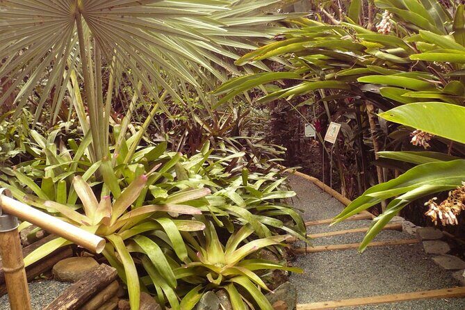 Nature and Sightseeing at Phantasea Tropical Botanical Garden - Who should book: orchid lovers, families, and cruise-day planners
