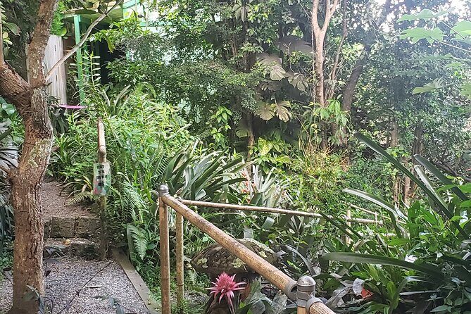 Nature and Sightseeing at Phantasea Tropical Botanical Garden - Should you book Phantasea Tropical Botanical Garden?