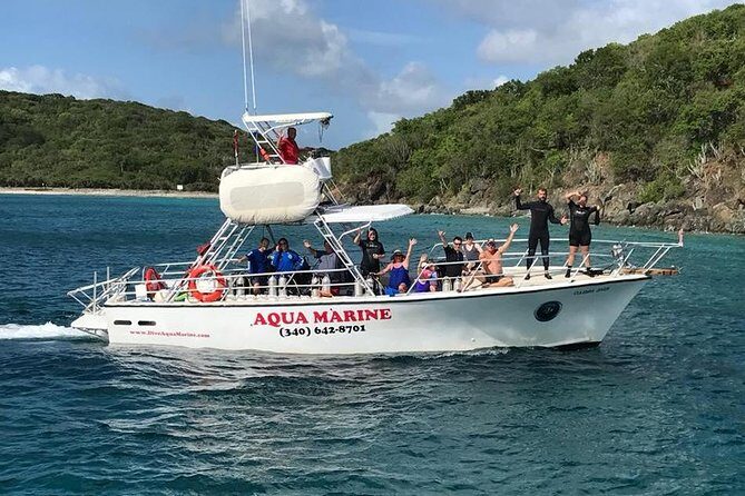 Private Full Day Guided Snorkeling or Diving Charter in St Thomas - Morning Logistics at Saga Haven Marina (The Part Most People Rush)