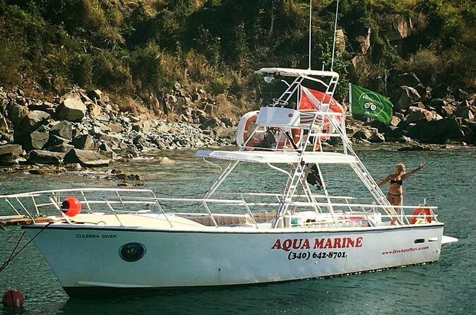 Private Full Day Guided Snorkeling or Diving Charter in St Thomas - Choosing Stops With the Captain: How the Day Stays Personal