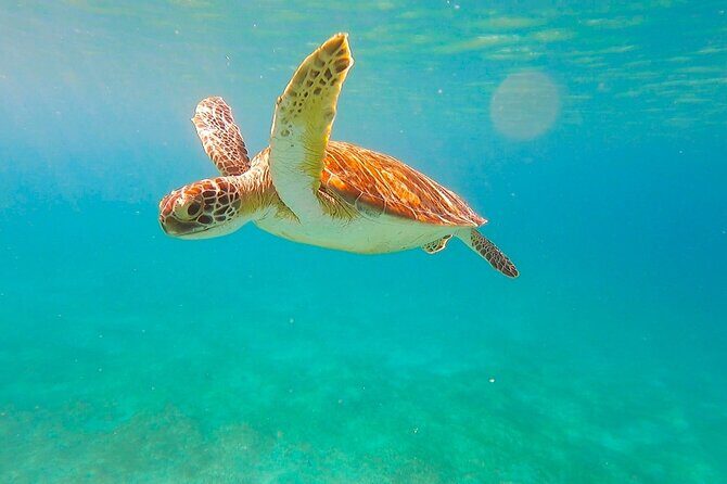 Private Full Day Sail in Virgin Islands National Park - Boat comfort that matters more than you think