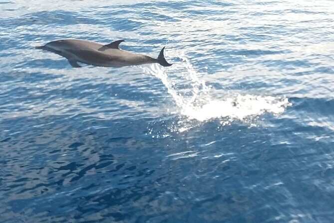 Private Full Day Sail/ Snorkel Experience USVI (Sapphire Marina, STT pick up) - Water Comfort Details: Fresh Shower Rinse and Sunscreen Rules