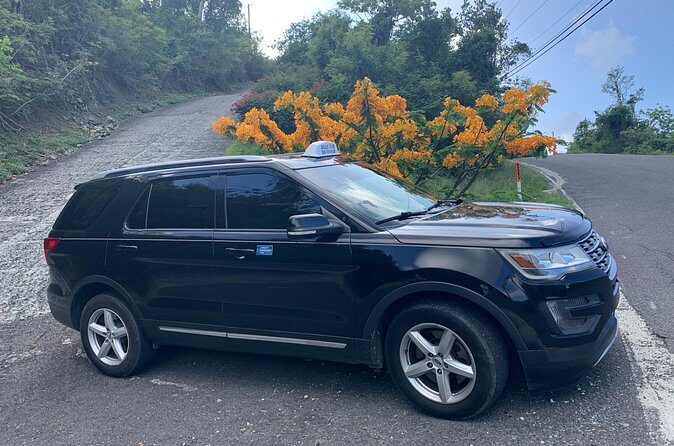 Private Ground Transfers - Customer-style service: friendly, prompt, and willing to help