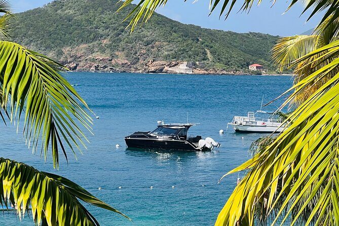 Private Luxury Catamaran Half Day Charter - Your private schedule on St Thomas (and why it matters)