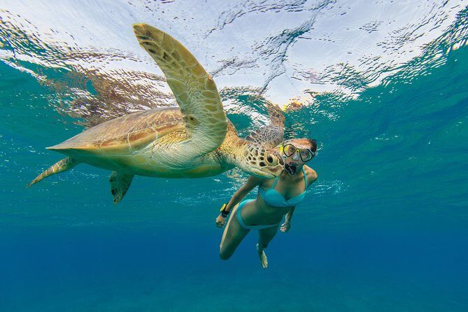 Private Luxury Charter Aboard New Multi-Deck Lagoon Catamaran - Quick Highlights You’ll Actually Care About