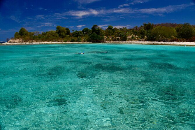 Private Power Catamaran. Secluded Beaches, Snorkeling, Turtles for Full/Half Day - The turtle swim: why this is the stop people remember