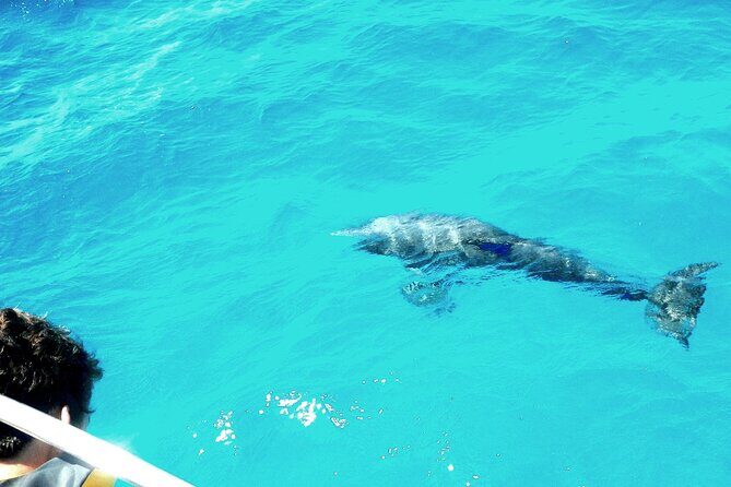 Private Sailing Tour of Pirate Waters and Shipwrecks - Key Highlights Worth Your Time