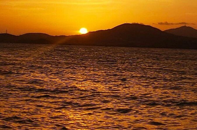 Private Sunset Charter + Guided Night Snorkeling in St Thomas - What Marine Life You Can Expect to See (Without Overpromising)