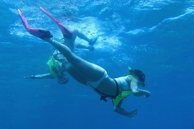 Reef and Turtle Adventure - Kayak and Snorkel Tour - Key Things You’ll Notice on This Reef and Turtle Kayak Tour