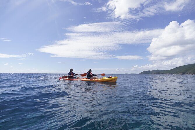 Reef and Turtle Adventure - Kayak and Snorkel Tour - Stop 1: The First Snorkel Spot for Fish, Sea Turtles, and Settling In