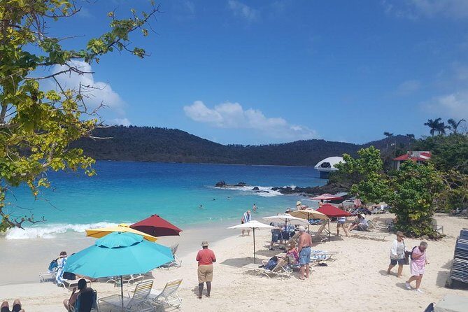 Round-Trip Transportation to Coral World Park and Coki Beach - Price and value: what $59.75 buys you on a short St Thomas day