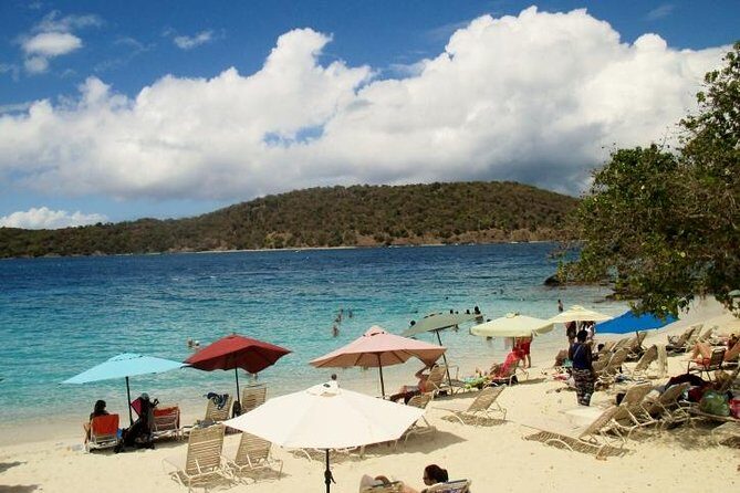Round-Trip Transportation to Coral World Park and Coki Beach - Should you book this Coki Beach and Coral World transport tour?