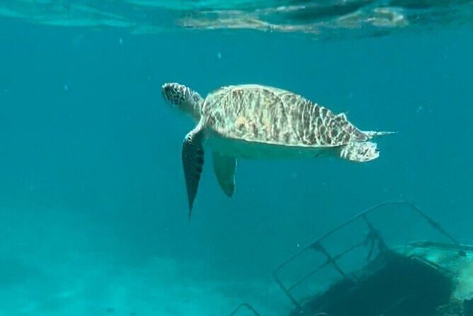 Sail and Snorkel Private Charter - Half Day Morning - Price and value: $169 per person and what that includes
