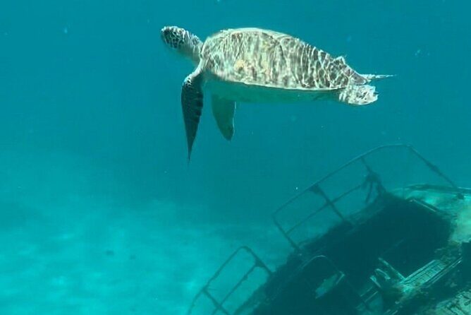 Sail and Snorkel Private Charter - Mid-Day Sail 1230pm to Sunset - Meeting at Sapphire Beach Marina and what the 5 hours feels like