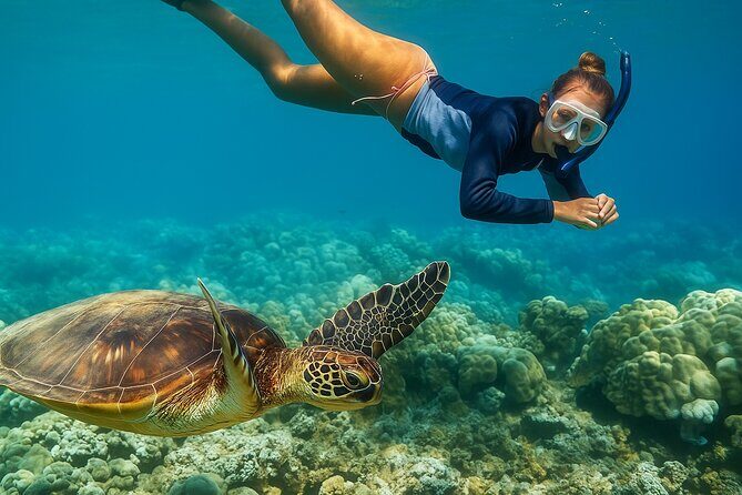 Snorkel and Sunset Cruise from Margaritaville Resort - From Margaritaville to the Reef: the 3:00 PM start that makes sense