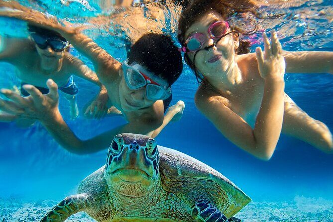 Snorkel and Sunset Cruise from Margaritaville Resort - Crew hospitality and the small-group feel that keeps things friendly