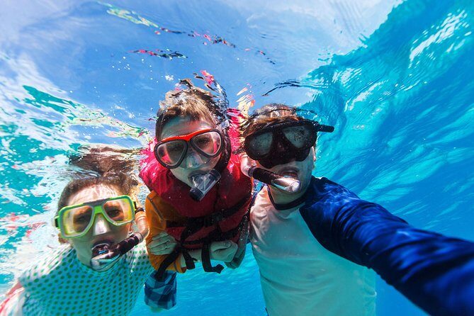 Snorkel & Swim with Turtles. Semi Private Tour to Buck Island & Honeymoon Beach - What to bring and how to get the most from the day