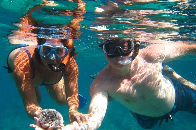 Snorkel Tour - Key Things to Know Before You Go