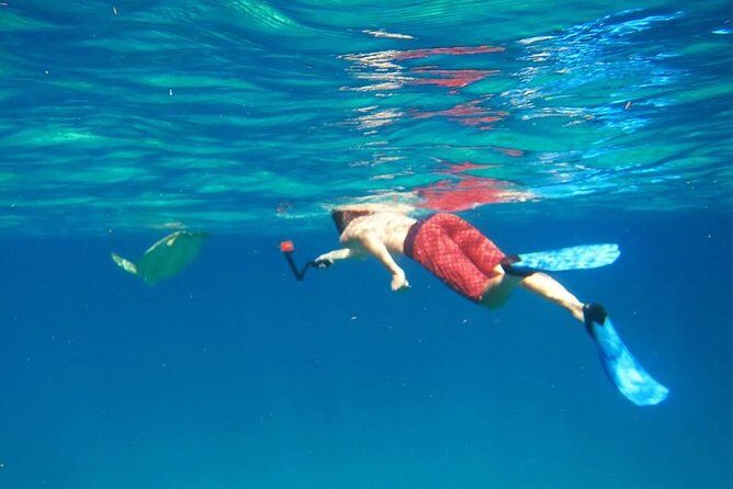 Snorkel Tour - How This St Thomas Snorkel Tour Really Feels on the Water