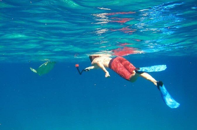 Snorkel Tour - The First Snorkel Stop: What You’re Really Paying For